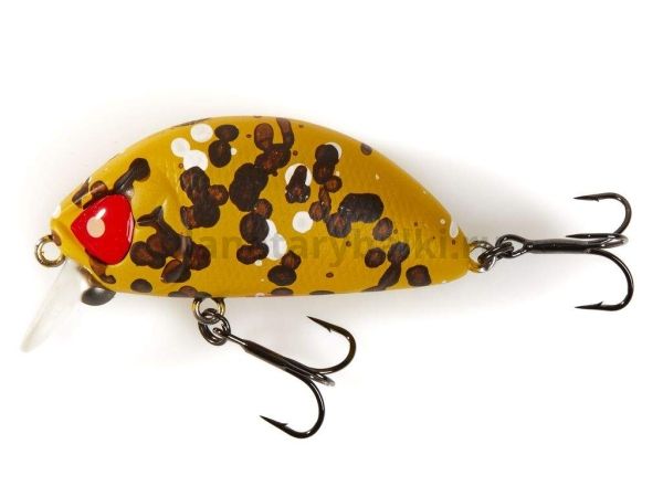 Воблер плавающий LUCKY JOHN Pro Series HAIRA TINY Shallow Pilot 44F 44мм, 7гр., до 0,3м, цвет 506 для рыбалки, Воблер плавающий LUCKY JOHN Pro Series HAIRA TINY Shallow Pilot 44F 44мм, 7гр., до 0,3м, цвет 506 отзывы, Воблер плавающий LUCKY JOHN Pro Series HAIRA TINY Shallow Pilot 44F 44мм, 7гр., до 0,3м, цвет 506 купить, Воблер плавающий LUCKY JOHN Pro Series HAIRA TINY Shallow Pilot 44F 44мм, 7гр., до 0,3м, цвет 506 купить в интернет магазине, Воблер плавающий LUCKY JOHN Pro Series HAIRA TINY Shallow Pilot 44F 44мм, 7гр., до 0,3м, цвет 506 выбрать, Воблер плавающий LUCKY JOHN Pro Series HAIRA TINY Shallow Pilot 44F 44мм, 7гр., до 0,3м, цвет 506 обзор, Воблер плавающий LUCKY JOHN Pro Series HAIRA TINY Shallow Pilot 44F 44мм, 7гр., до 0,3м, цвет 506 купить в розничном магазине