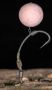Крючки KORDA Spinner PTFE с бородкой №6, 10шт. для рыбалки, Крючки KORDA Spinner PTFE с бородкой №6, 10шт. отзывы, Крючки KORDA Spinner PTFE с бородкой №6, 10шт. купить, Крючки KORDA Spinner PTFE с бородкой №6, 10шт. купить в интернет магазине, Крючки KORDA Spinner PTFE с бородкой №6, 10шт. выбрать, Крючки KORDA Spinner PTFE с бородкой №6, 10шт. обзор, Крючки KORDA Spinner PTFE с бородкой №6, 10шт. купить в розничном магазине