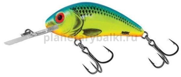 Воблер плавающий Salmo HORNET RATTLIN F 65мм, 20гр., 2,5-5м, цвет CB