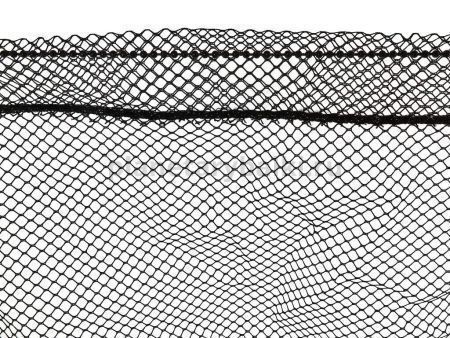 Подсачник складной Salmo телескопический 200х60х58см для рыбалки, Подсачник складной Salmo телескопический 200х60х58см отзывы, Подсачник складной Salmo телескопический 200х60х58см купить, Подсачник складной Salmo телескопический 200х60х58см купить в интернет магазине, Подсачник складной Salmo телескопический 200х60х58см выбрать, Подсачник складной Salmo телескопический 200х60х58см обзор, Подсачник складной Salmo телескопический 200х60х58см купить в розничном магазине