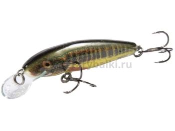 Воблер плавающий Salmo MINNOW F 70мм, 6гр., 1-1,5м, цвет HRM