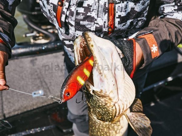 Воблер тонущий Lucky John BBS Original ARROW JERK S 150мм, 92гр., цвет 033 для рыбалки, Воблер тонущий Lucky John BBS Original ARROW JERK S 150мм, 92гр., цвет 033 отзывы, Воблер тонущий Lucky John BBS Original ARROW JERK S 150мм, 92гр., цвет 033 купить, Воблер тонущий Lucky John BBS Original ARROW JERK S 150мм, 92гр., цвет 033 купить в интернет магазине, Воблер тонущий Lucky John BBS Original ARROW JERK S 150мм, 92гр., цвет 033 выбрать, Воблер тонущий Lucky John BBS Original ARROW JERK S 150мм, 92гр., цвет 033 обзор, Воблер тонущий Lucky John BBS Original ARROW JERK S 150мм, 92гр., цвет 033 купить в розничном магазине