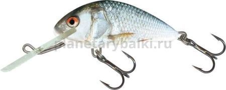 Воблер плавающий Salmo HORNET F 40мм, 3гр., 1,5м, RD