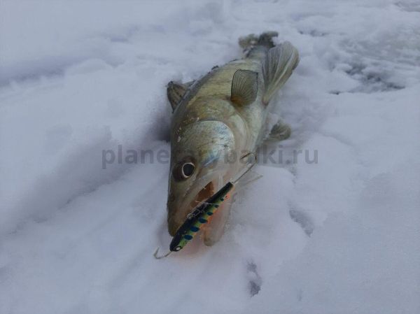 Балансир Lucky John NORDIC 6 60мм, 36гр., 103 для рыбалки, Балансир Lucky John NORDIC 6 60мм, 36гр., 103 отзывы, Балансир Lucky John NORDIC 6 60мм, 36гр., 103 купить, Балансир Lucky John NORDIC 6 60мм, 36гр., 103 купить в интернет магазине, Балансир Lucky John NORDIC 6 60мм, 36гр., 103 выбрать, Балансир Lucky John NORDIC 6 60мм, 36гр., 103 обзор, Балансир Lucky John NORDIC 6 60мм, 36гр., 103 купить в розничном магазине