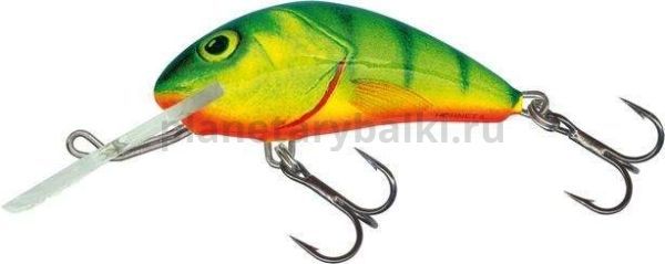 Воблер плавающий Salmo HORNET F 60мм, 10гр., 2-5,6м, цвет HP