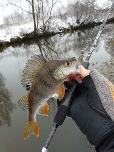 Твистеры Lucky John Pro Series NAYADA 3.0in 7.62см, цвет S21, 7шт. для рыбалки, Твистеры Lucky John Pro Series NAYADA 3.0in 7.62см, цвет S21, 7шт. отзывы, Твистеры Lucky John Pro Series NAYADA 3.0in 7.62см, цвет S21, 7шт. купить, Твистеры Lucky John Pro Series NAYADA 3.0in 7.62см, цвет S21, 7шт. купить в интернет магазине, Твистеры Lucky John Pro Series NAYADA 3.0in 7.62см, цвет S21, 7шт. выбрать, Твистеры Lucky John Pro Series NAYADA 3.0in 7.62см, цвет S21, 7шт. обзор, Твистеры Lucky John Pro Series NAYADA 3.0in 7.62см, цвет S21, 7шт. купить в розничном магазине