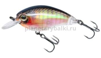 Воблер Yo-Zuri 3DR Shallow Crank 50F, 50мм, 8гр., 0,8-1м, цвет RBG