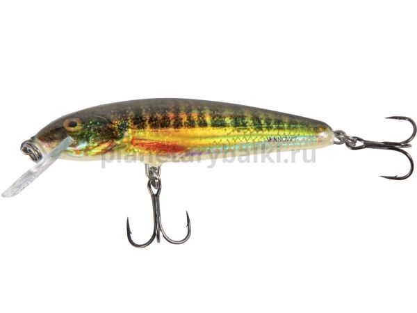 Воблер плавающий Salmo MINNOW F 70мм, 6гр., 1-1,5м, цвет HRM для рыбалки, Воблер плавающий Salmo MINNOW F 70мм, 6гр., 1-1,5м, цвет HRM отзывы, Воблер плавающий Salmo MINNOW F 70мм, 6гр., 1-1,5м, цвет HRM купить, Воблер плавающий Salmo MINNOW F 70мм, 6гр., 1-1,5м, цвет HRM купить в интернет магазине, Воблер плавающий Salmo MINNOW F 70мм, 6гр., 1-1,5м, цвет HRM выбрать, Воблер плавающий Salmo MINNOW F 70мм, 6гр., 1-1,5м, цвет HRM обзор, Воблер плавающий Salmo MINNOW F 70мм, 6гр., 1-1,5м, цвет HRM купить в розничном магазине