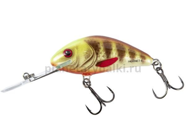 Воблер плавающий Salmo HORNET F 60мм, 10гр., 2-5,6м, цвет SBP для рыбалки, Воблер плавающий Salmo HORNET F 60мм, 10гр., 2-5,6м, цвет SBP отзывы, Воблер плавающий Salmo HORNET F 60мм, 10гр., 2-5,6м, цвет SBP купить, Воблер плавающий Salmo HORNET F 60мм, 10гр., 2-5,6м, цвет SBP купить в интернет магазине, Воблер плавающий Salmo HORNET F 60мм, 10гр., 2-5,6м, цвет SBP выбрать, Воблер плавающий Salmo HORNET F 60мм, 10гр., 2-5,6м, цвет SBP обзор, Воблер плавающий Salmo HORNET F 60мм, 10гр., 2-5,6м, цвет SBP купить в розничном магазине