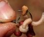 Клипса для опарыша KORDA Maggot Klip Extra Small для рыбалки, Клипса для опарыша KORDA Maggot Klip Extra Small отзывы, Клипса для опарыша KORDA Maggot Klip Extra Small купить, Клипса для опарыша KORDA Maggot Klip Extra Small купить в интернет магазине, Клипса для опарыша KORDA Maggot Klip Extra Small выбрать, Клипса для опарыша KORDA Maggot Klip Extra Small обзор, Клипса для опарыша KORDA Maggot Klip Extra Small купить в розничном магазине