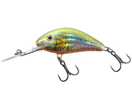 Воблер плавающий Salmo HORNET F 40мм, 3гр., 1,5м, HO для рыбалки, Воблер плавающий Salmo HORNET F 40мм, 3гр., 1,5м, HO отзывы, Воблер плавающий Salmo HORNET F 40мм, 3гр., 1,5м, HO купить, Воблер плавающий Salmo HORNET F 40мм, 3гр., 1,5м, HO купить в интернет магазине, Воблер плавающий Salmo HORNET F 40мм, 3гр., 1,5м, HO выбрать, Воблер плавающий Salmo HORNET F 40мм, 3гр., 1,5м, HO обзор, Воблер плавающий Salmo HORNET F 40мм, 3гр., 1,5м, HO купить в розничном магазине