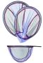 Сетка для подсачника COLMIC VELOX MESH Oval Bottom 50x40см для рыбалки, Сетка для подсачника COLMIC VELOX MESH Oval Bottom 50x40см отзывы, Сетка для подсачника COLMIC VELOX MESH Oval Bottom 50x40см купить, Сетка для подсачника COLMIC VELOX MESH Oval Bottom 50x40см купить в интернет магазине, Сетка для подсачника COLMIC VELOX MESH Oval Bottom 50x40см выбрать, Сетка для подсачника COLMIC VELOX MESH Oval Bottom 50x40см обзор, Сетка для подсачника COLMIC VELOX MESH Oval Bottom 50x40см купить в розничном магазине