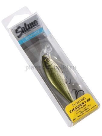 Воблер плавающий Salmo EXECUTOR SR 70мм, 8гр., 2м, цвет OB для рыбалки, Воблер плавающий Salmo EXECUTOR SR 70мм, 8гр., 2м, цвет OB отзывы, Воблер плавающий Salmo EXECUTOR SR 70мм, 8гр., 2м, цвет OB купить, Воблер плавающий Salmo EXECUTOR SR 70мм, 8гр., 2м, цвет OB купить в интернет магазине, Воблер плавающий Salmo EXECUTOR SR 70мм, 8гр., 2м, цвет OB выбрать, Воблер плавающий Salmo EXECUTOR SR 70мм, 8гр., 2м, цвет OB обзор, Воблер плавающий Salmo EXECUTOR SR 70мм, 8гр., 2м, цвет OB купить в розничном магазине