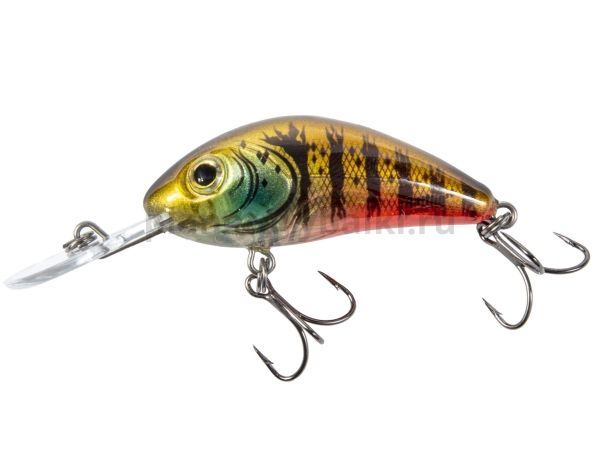 Воблер плавающий Salmo HORNET RATTLIN F 55мм, 10,5гр., 2-4м, цвет HG для рыбалки, Воблер плавающий Salmo HORNET RATTLIN F 55мм, 10,5гр., 2-4м, цвет HG отзывы, Воблер плавающий Salmo HORNET RATTLIN F 55мм, 10,5гр., 2-4м, цвет HG купить, Воблер плавающий Salmo HORNET RATTLIN F 55мм, 10,5гр., 2-4м, цвет HG купить в интернет магазине, Воблер плавающий Salmo HORNET RATTLIN F 55мм, 10,5гр., 2-4м, цвет HG выбрать, Воблер плавающий Salmo HORNET RATTLIN F 55мм, 10,5гр., 2-4м, цвет HG обзор, Воблер плавающий Salmo HORNET RATTLIN F 55мм, 10,5гр., 2-4м, цвет HG купить в розничном магазине
