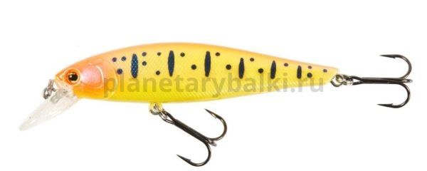 Воблер суспендер LUCKY JOHN ORIGINAL MINNOW X 80мм, 10гр., до 1м, цвет S57 для рыбалки, Воблер суспендер LUCKY JOHN ORIGINAL MINNOW X 80мм, 10гр., до 1м, цвет S57 отзывы, Воблер суспендер LUCKY JOHN ORIGINAL MINNOW X 80мм, 10гр., до 1м, цвет S57 купить, Воблер суспендер LUCKY JOHN ORIGINAL MINNOW X 80мм, 10гр., до 1м, цвет S57 купить в интернет магазине, Воблер суспендер LUCKY JOHN ORIGINAL MINNOW X 80мм, 10гр., до 1м, цвет S57 выбрать, Воблер суспендер LUCKY JOHN ORIGINAL MINNOW X 80мм, 10гр., до 1м, цвет S57 обзор, Воблер суспендер LUCKY JOHN ORIGINAL MINNOW X 80мм, 10гр., до 1м, цвет S57 купить в розничном магазине