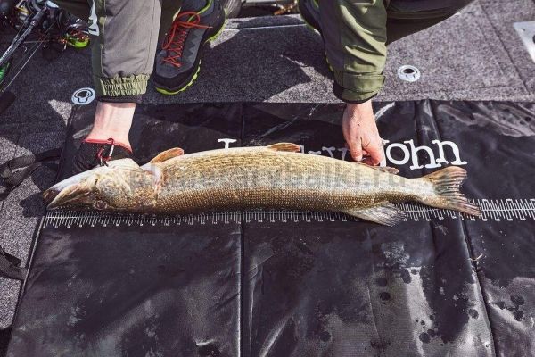 Мат мерный для рыбы Lucky John BBS 132х64см для рыбалки, Мат мерный для рыбы Lucky John BBS 132х64см отзывы, Мат мерный для рыбы Lucky John BBS 132х64см купить, Мат мерный для рыбы Lucky John BBS 132х64см купить в интернет магазине, Мат мерный для рыбы Lucky John BBS 132х64см выбрать, Мат мерный для рыбы Lucky John BBS 132х64см обзор, Мат мерный для рыбы Lucky John BBS 132х64см купить в розничном магазине