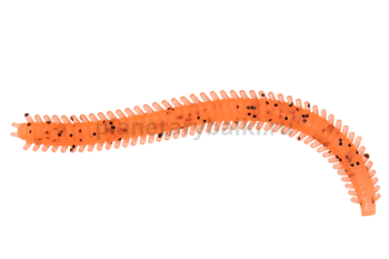 Приманка мягкая LureMax RAG WORM 3'' 7см, Fire Carrot 008, 10шт.