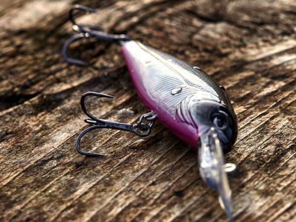 Воблер плавающий LUCKY JOHN ORIGINAL SHAD-XDR F 80мм, 14гр., 3,2м, цвет 003 для рыбалки, Воблер плавающий LUCKY JOHN ORIGINAL SHAD-XDR F 80мм, 14гр., 3,2м, цвет 003 отзывы, Воблер плавающий LUCKY JOHN ORIGINAL SHAD-XDR F 80мм, 14гр., 3,2м, цвет 003 купить, Воблер плавающий LUCKY JOHN ORIGINAL SHAD-XDR F 80мм, 14гр., 3,2м, цвет 003 купить в интернет магазине, Воблер плавающий LUCKY JOHN ORIGINAL SHAD-XDR F 80мм, 14гр., 3,2м, цвет 003 выбрать, Воблер плавающий LUCKY JOHN ORIGINAL SHAD-XDR F 80мм, 14гр., 3,2м, цвет 003 обзор, Воблер плавающий LUCKY JOHN ORIGINAL SHAD-XDR F 80мм, 14гр., 3,2м, цвет 003 купить в розничном магазине