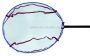 Сетка для подсачника COLMIC NYLON 45x35см (Oval Bottom) для рыбалки, Сетка для подсачника COLMIC NYLON 45x35см (Oval Bottom) отзывы, Сетка для подсачника COLMIC NYLON 45x35см (Oval Bottom) купить, Сетка для подсачника COLMIC NYLON 45x35см (Oval Bottom) купить в интернет магазине, Сетка для подсачника COLMIC NYLON 45x35см (Oval Bottom) выбрать, Сетка для подсачника COLMIC NYLON 45x35см (Oval Bottom) обзор, Сетка для подсачника COLMIC NYLON 45x35см (Oval Bottom) купить в розничном магазине