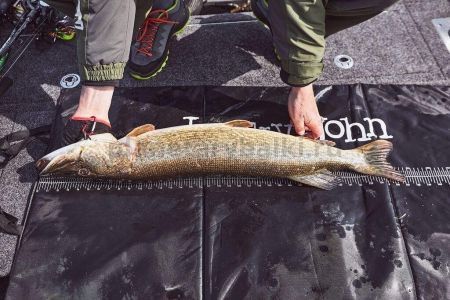 Мат мерный для рыбы Lucky John BBS 132х64см для рыбалки, Мат мерный для рыбы Lucky John BBS 132х64см отзывы, Мат мерный для рыбы Lucky John BBS 132х64см купить, Мат мерный для рыбы Lucky John BBS 132х64см купить в интернет магазине, Мат мерный для рыбы Lucky John BBS 132х64см выбрать, Мат мерный для рыбы Lucky John BBS 132х64см обзор, Мат мерный для рыбы Lucky John BBS 132х64см купить в розничном магазине