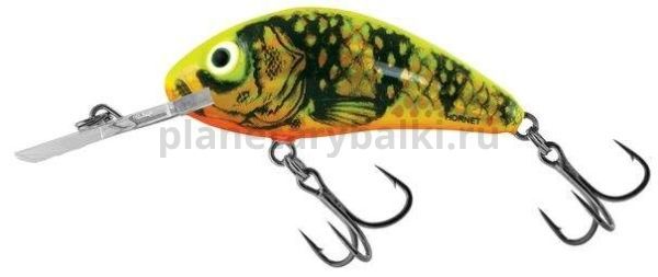 Воблер плавающий Salmo HORNET RATTLIN F 55мм, 10,5гр., 2-4м, цвет GFT