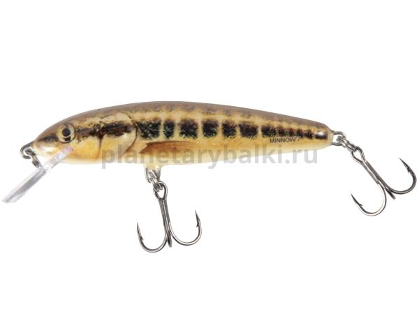 Воблер плавающий Salmo MINNOW F 70мм, 6гр., 1-1,5м, цвет M для рыбалки, Воблер плавающий Salmo MINNOW F 70мм, 6гр., 1-1,5м, цвет M отзывы, Воблер плавающий Salmo MINNOW F 70мм, 6гр., 1-1,5м, цвет M купить, Воблер плавающий Salmo MINNOW F 70мм, 6гр., 1-1,5м, цвет M купить в интернет магазине, Воблер плавающий Salmo MINNOW F 70мм, 6гр., 1-1,5м, цвет M выбрать, Воблер плавающий Salmo MINNOW F 70мм, 6гр., 1-1,5м, цвет M обзор, Воблер плавающий Salmo MINNOW F 70мм, 6гр., 1-1,5м, цвет M купить в розничном магазине
