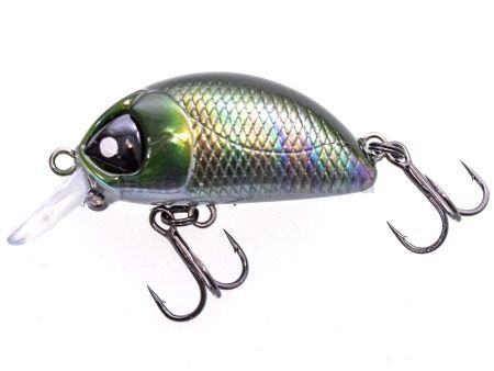 Воблер плав. LJ Pro Series HAIRA TINY SR 03.30/369 для рыбалки, Воблер плав. LJ Pro Series HAIRA TINY SR 03.30/369 отзывы, Воблер плав. LJ Pro Series HAIRA TINY SR 03.30/369 купить, Воблер плав. LJ Pro Series HAIRA TINY SR 03.30/369 купить в интернет магазине, Воблер плав. LJ Pro Series HAIRA TINY SR 03.30/369 выбрать, Воблер плав. LJ Pro Series HAIRA TINY SR 03.30/369 обзор, Воблер плав. LJ Pro Series HAIRA TINY SR 03.30/369 купить в розничном магазине