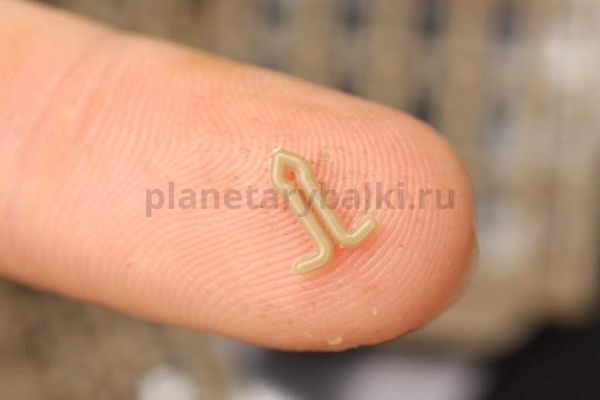 Стопор для бойлов KORDA Extenda Stops размер M для рыбалки, Стопор для бойлов KORDA Extenda Stops размер M отзывы, Стопор для бойлов KORDA Extenda Stops размер M купить, Стопор для бойлов KORDA Extenda Stops размер M купить в интернет магазине, Стопор для бойлов KORDA Extenda Stops размер M выбрать, Стопор для бойлов KORDA Extenda Stops размер M обзор, Стопор для бойлов KORDA Extenda Stops размер M купить в розничном магазине