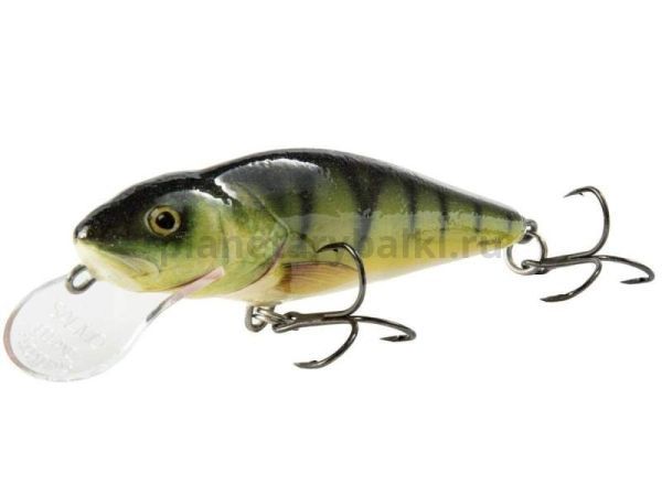 Воблер плавающий Salmo PERCH DR 012 120мм, 36гр., 4м, цвет P
