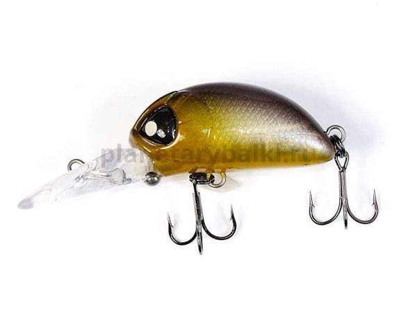 Воблер плавающий LUCKY JOHN Pro Series HAIRA TINY LBF 33мм, 4гр., до 1м, цвет 402 Plus Foot для рыбалки, Воблер плавающий LUCKY JOHN Pro Series HAIRA TINY LBF 33мм, 4гр., до 1м, цвет 402 Plus Foot отзывы, Воблер плавающий LUCKY JOHN Pro Series HAIRA TINY LBF 33мм, 4гр., до 1м, цвет 402 Plus Foot купить, Воблер плавающий LUCKY JOHN Pro Series HAIRA TINY LBF 33мм, 4гр., до 1м, цвет 402 Plus Foot купить в интернет магазине, Воблер плавающий LUCKY JOHN Pro Series HAIRA TINY LBF 33мм, 4гр., до 1м, цвет 402 Plus Foot выбрать, Воблер плавающий LUCKY JOHN Pro Series HAIRA TINY LBF 33мм, 4гр., до 1м, цвет 402 Plus Foot обзор, Воблер плавающий LUCKY JOHN Pro Series HAIRA TINY LBF 33мм, 4гр., до 1м, цвет 402 Plus Foot купить в розничном магазине
