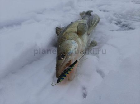 Балансир Lucky John NORDIC 6 60мм, 36гр., 103 для рыбалки, Балансир Lucky John NORDIC 6 60мм, 36гр., 103 отзывы, Балансир Lucky John NORDIC 6 60мм, 36гр., 103 купить, Балансир Lucky John NORDIC 6 60мм, 36гр., 103 купить в интернет магазине, Балансир Lucky John NORDIC 6 60мм, 36гр., 103 выбрать, Балансир Lucky John NORDIC 6 60мм, 36гр., 103 обзор, Балансир Lucky John NORDIC 6 60мм, 36гр., 103 купить в розничном магазине