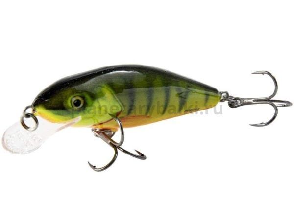Воблер плавающий Salmo PERCH F 80мм, 12гр., 2м, цвет HP