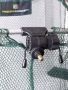 Садок Feeder Concept S 30х40см, 1,50м для рыбалки, Садок Feeder Concept S 30х40см, 1,50м отзывы, Садок Feeder Concept S 30х40см, 1,50м купить, Садок Feeder Concept S 30х40см, 1,50м купить в интернет магазине, Садок Feeder Concept S 30х40см, 1,50м выбрать, Садок Feeder Concept S 30х40см, 1,50м обзор, Садок Feeder Concept S 30х40см, 1,50м купить в розничном магазине