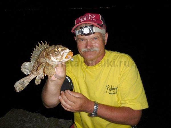 Твистер съедобный Lucky John Pro Series ROCK CRAW 2.0in 5.1см, цвет 036, 10шт. для рыбалки, Твистер съедобный Lucky John Pro Series ROCK CRAW 2.0in 5.1см, цвет 036, 10шт. отзывы, Твистер съедобный Lucky John Pro Series ROCK CRAW 2.0in 5.1см, цвет 036, 10шт. купить, Твистер съедобный Lucky John Pro Series ROCK CRAW 2.0in 5.1см, цвет 036, 10шт. купить в интернет магазине, Твистер съедобный Lucky John Pro Series ROCK CRAW 2.0in 5.1см, цвет 036, 10шт. выбрать, Твистер съедобный Lucky John Pro Series ROCK CRAW 2.0in 5.1см, цвет 036, 10шт. обзор, Твистер съедобный Lucky John Pro Series ROCK CRAW 2.0in 5.1см, цвет 036, 10шт. купить в розничном магазине