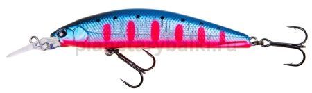 Воблер тонущ. LJ Pro Series SILVER SHINER S 08.80/103 для рыбалки, Воблер тонущ. LJ Pro Series SILVER SHINER S 08.80/103 отзывы, Воблер тонущ. LJ Pro Series SILVER SHINER S 08.80/103 купить, Воблер тонущ. LJ Pro Series SILVER SHINER S 08.80/103 купить в интернет магазине, Воблер тонущ. LJ Pro Series SILVER SHINER S 08.80/103 выбрать, Воблер тонущ. LJ Pro Series SILVER SHINER S 08.80/103 обзор, Воблер тонущ. LJ Pro Series SILVER SHINER S 08.80/103 купить в розничном магазине