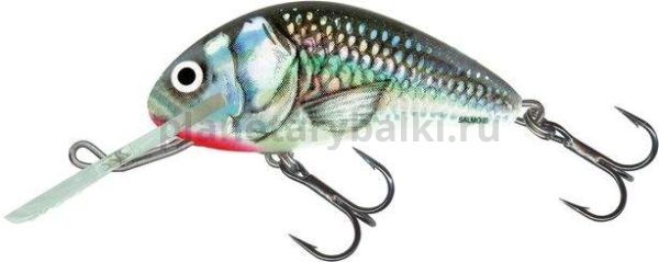 Воблер плавающий Salmo HORNET F 60мм, 10гр., 2-5,6м, цвет HGS