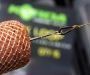 Кольцо каплевидное KORDA Link Loop для рыбалки, Кольцо каплевидное KORDA Link Loop отзывы, Кольцо каплевидное KORDA Link Loop купить, Кольцо каплевидное KORDA Link Loop купить в интернет магазине, Кольцо каплевидное KORDA Link Loop выбрать, Кольцо каплевидное KORDA Link Loop обзор, Кольцо каплевидное KORDA Link Loop купить в розничном магазине