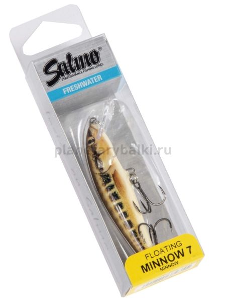 Воблер плавающий Salmo MINNOW F 70мм, 6гр., 1-1,5м, цвет M для рыбалки, Воблер плавающий Salmo MINNOW F 70мм, 6гр., 1-1,5м, цвет M отзывы, Воблер плавающий Salmo MINNOW F 70мм, 6гр., 1-1,5м, цвет M купить, Воблер плавающий Salmo MINNOW F 70мм, 6гр., 1-1,5м, цвет M купить в интернет магазине, Воблер плавающий Salmo MINNOW F 70мм, 6гр., 1-1,5м, цвет M выбрать, Воблер плавающий Salmo MINNOW F 70мм, 6гр., 1-1,5м, цвет M обзор, Воблер плавающий Salmo MINNOW F 70мм, 6гр., 1-1,5м, цвет M купить в розничном магазине