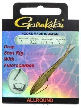 Крючки с поводком Gamakatsu Booklet DROPSHOT WORM39 №03, 0.22мм, 170см, 3шт.