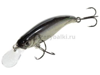 Воблер плавающий Salmo SLICK STICK F 60мм, 3гр., 1м, цвет RBL