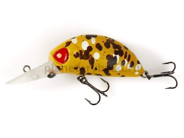 Воблер плавающий Lucky John Pro Series HAIRA TINY 44LBF 44мм, 8гр., до 1,2м, цвет 506 для рыбалки, Воблер плавающий Lucky John Pro Series HAIRA TINY 44LBF 44мм, 8гр., до 1,2м, цвет 506 отзывы, Воблер плавающий Lucky John Pro Series HAIRA TINY 44LBF 44мм, 8гр., до 1,2м, цвет 506 купить, Воблер плавающий Lucky John Pro Series HAIRA TINY 44LBF 44мм, 8гр., до 1,2м, цвет 506 купить в интернет магазине, Воблер плавающий Lucky John Pro Series HAIRA TINY 44LBF 44мм, 8гр., до 1,2м, цвет 506 выбрать, Воблер плавающий Lucky John Pro Series HAIRA TINY 44LBF 44мм, 8гр., до 1,2м, цвет 506 обзор, Воблер плавающий Lucky John Pro Series HAIRA TINY 44LBF 44мм, 8гр., до 1,2м, цвет 506 купить в розничном магазине