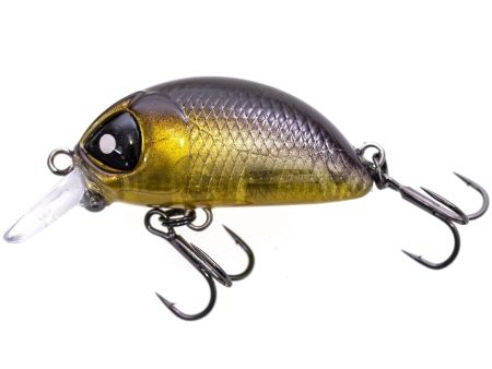 Воблер плав. LJ Pro Series HAIRA TINY SR 03.30/402 для рыбалки, Воблер плав. LJ Pro Series HAIRA TINY SR 03.30/402 отзывы, Воблер плав. LJ Pro Series HAIRA TINY SR 03.30/402 купить, Воблер плав. LJ Pro Series HAIRA TINY SR 03.30/402 купить в интернет магазине, Воблер плав. LJ Pro Series HAIRA TINY SR 03.30/402 выбрать, Воблер плав. LJ Pro Series HAIRA TINY SR 03.30/402 обзор, Воблер плав. LJ Pro Series HAIRA TINY SR 03.30/402 купить в розничном магазине