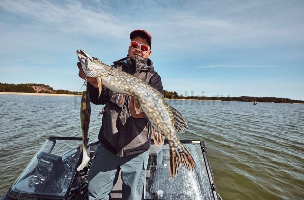 Виброхвост LJ 3D BBS Series GIANT KUBIRA SWIM SHAD 10,3in (26,00)/PG26 1шт.+Stinger XL для рыбалки, Виброхвост LJ 3D BBS Series GIANT KUBIRA SWIM SHAD 10,3in (26,00)/PG26 1шт.+Stinger XL отзывы, Виброхвост LJ 3D BBS Series GIANT KUBIRA SWIM SHAD 10,3in (26,00)/PG26 1шт.+Stinger XL купить, Виброхвост LJ 3D BBS Series GIANT KUBIRA SWIM SHAD 10,3in (26,00)/PG26 1шт.+Stinger XL купить в интернет магазине, Виброхвост LJ 3D BBS Series GIANT KUBIRA SWIM SHAD 10,3in (26,00)/PG26 1шт.+Stinger XL выбрать, Виброхвост LJ 3D BBS Series GIANT KUBIRA SWIM SHAD 10,3in (26,00)/PG26 1шт.+Stinger XL обзор, Виброхвост LJ 3D BBS Series GIANT KUBIRA SWIM SHAD 10,3in (26,00)/PG26 1шт.+Stinger XL купить в розничном магазине