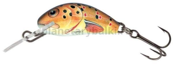 Воблер тонущий Salmo HORNET S 25мм, 1,5гр., 0,5-1м, цвет T