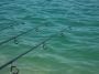 Леска KORDA Kontour Fluorocarbon  200м, 0,33мм, 6,5кг для рыбалки, Леска KORDA Kontour Fluorocarbon  200м, 0,33мм, 6,5кг отзывы, Леска KORDA Kontour Fluorocarbon  200м, 0,33мм, 6,5кг купить, Леска KORDA Kontour Fluorocarbon  200м, 0,33мм, 6,5кг купить в интернет магазине, Леска KORDA Kontour Fluorocarbon  200м, 0,33мм, 6,5кг выбрать, Леска KORDA Kontour Fluorocarbon  200м, 0,33мм, 6,5кг обзор, Леска KORDA Kontour Fluorocarbon  200м, 0,33мм, 6,5кг купить в розничном магазине