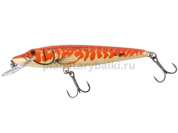 Воблер плавающий Salmo PIKE F11 110мм, 15гр., 0,5-1м, цвет APE для рыбалки, Воблер плавающий Salmo PIKE F11 110мм, 15гр., 0,5-1м, цвет APE отзывы, Воблер плавающий Salmo PIKE F11 110мм, 15гр., 0,5-1м, цвет APE купить, Воблер плавающий Salmo PIKE F11 110мм, 15гр., 0,5-1м, цвет APE купить в интернет магазине, Воблер плавающий Salmo PIKE F11 110мм, 15гр., 0,5-1м, цвет APE выбрать, Воблер плавающий Salmo PIKE F11 110мм, 15гр., 0,5-1м, цвет APE обзор, Воблер плавающий Salmo PIKE F11 110мм, 15гр., 0,5-1м, цвет APE купить в розничном магазине