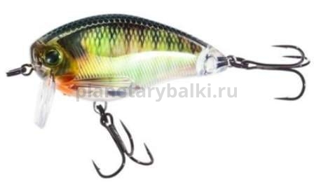 Воблер Yo-Zuri 3DR Wake Bait 50F 50мм, 8,5гр., 0-0,3м, цвет RBG