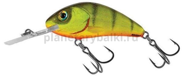 Воблер плавающий Salmo HORNET RATTLIN F 45мм, 6гр., 1,8-3,4м, цвет HP