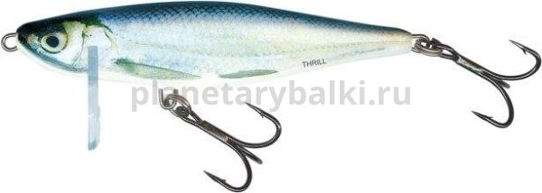 Воблер тонущий Salmo THRILL S 05 50мм, 6,5гр., 0,5-5м, цвет RBL