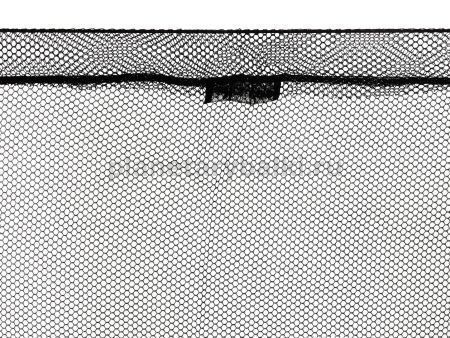 Подсачник складной Salmo CARP 280х100х90см для рыбалки, Подсачник складной Salmo CARP 280х100х90см отзывы, Подсачник складной Salmo CARP 280х100х90см купить, Подсачник складной Salmo CARP 280х100х90см купить в интернет магазине, Подсачник складной Salmo CARP 280х100х90см выбрать, Подсачник складной Salmo CARP 280х100х90см обзор, Подсачник складной Salmo CARP 280х100х90см купить в розничном магазине